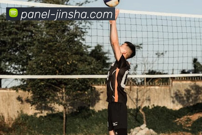 澳门金沙官网服务体系